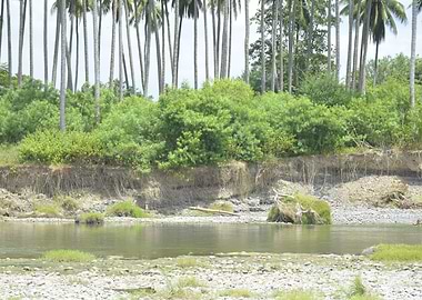 Bulatukan river 4 DavaoSur