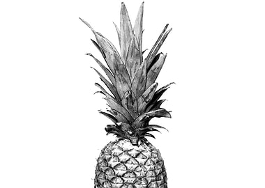 Black and White Pineapple