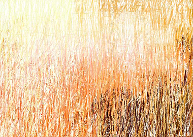 colorful stroke lines