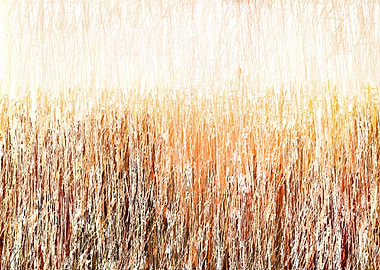 colorful abstract stroke