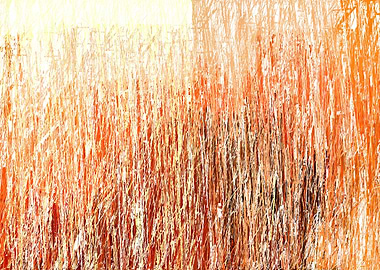 colorful stroke lines