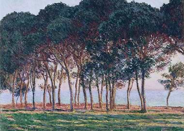 Under the Pine Trees at th