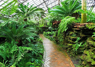 Tropical Garden