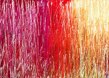 colorful stroke lines