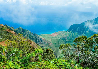 Hawaii landscape