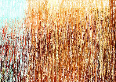 colorful abstract stroke