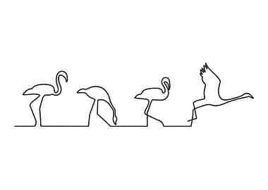 Flamingoes in single line