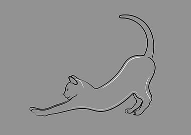 Stretching Cat