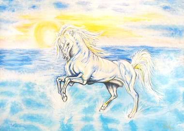 Caballo blanco Palomo