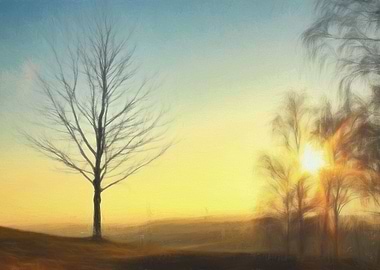 Lone Tree in the sunset