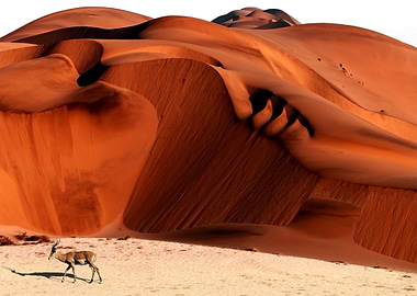 wind shaped sand dunes