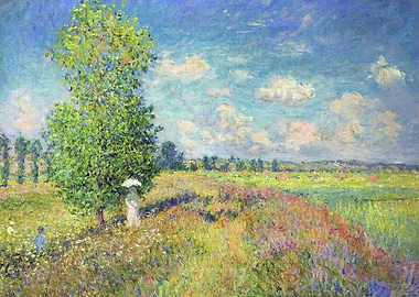 The Summer Poppy Field 1