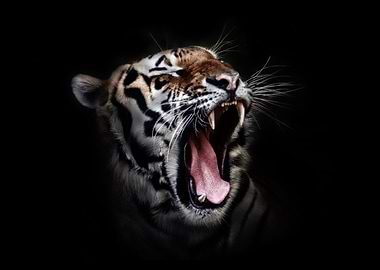 Look at my tiger teeth