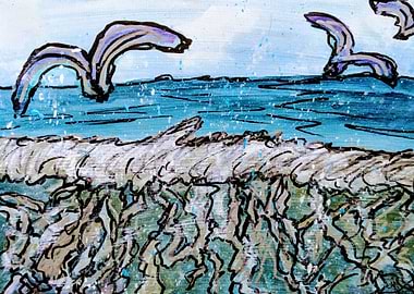 Beach Birds and Beauty