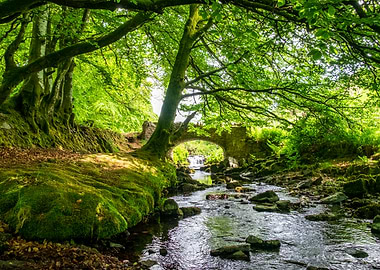 Robbers Bridge