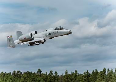 A10 Thunderbolt II