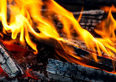 Burning Wood