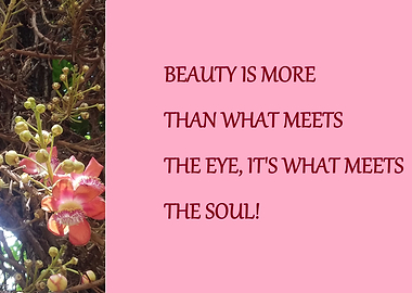 MORE THAN MEETS THE EYE