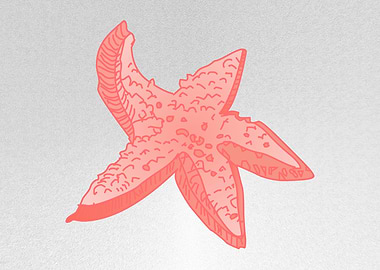 Star fish