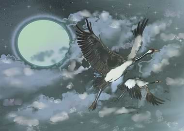 Scarecrow stork birds of t