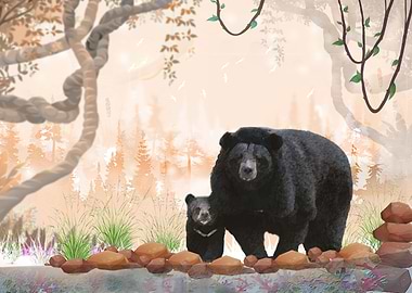 the Aisan Black bear