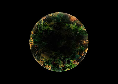 Black hole Galaxy 1245