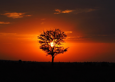 Sunset Serengeti