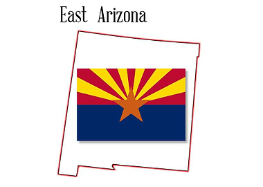 East Arizona Map and Flag