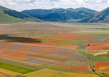 Flowering of Castelluccio