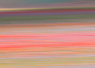 Flowering of Castelluccio