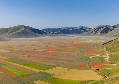 Flowering of Castelluccio