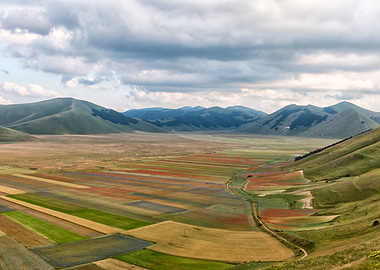 Flowering of Castelluccio