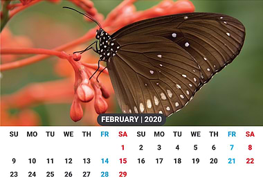 FEBRUARY 2020 Calendar