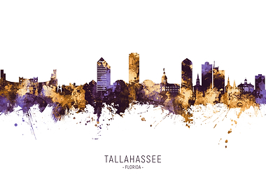 Tallahassee Skyline