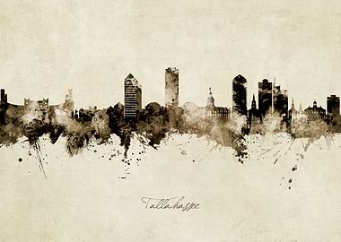 Tallahassee Skyline