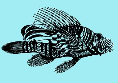 aquatic animal fish art