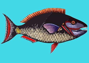 aquatic animal fish art