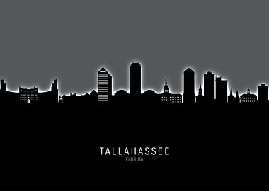 Tallahassee Skyline