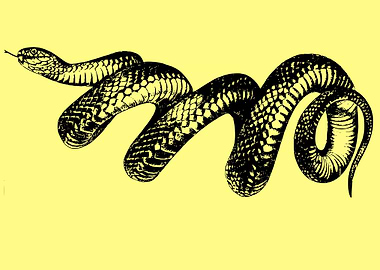 vintage snake art