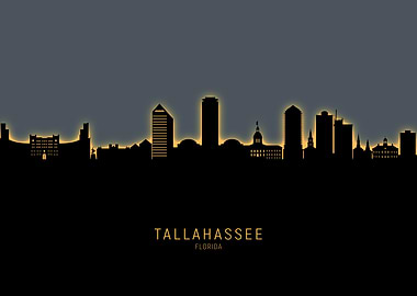 Tallahassee Skyline