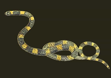 vintage snake art