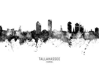 Tallahassee Skyline
