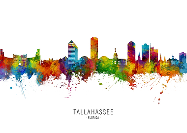 Tallahassee Skyline