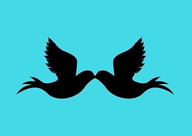 birds kissing each other