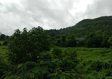 Landscape from my village