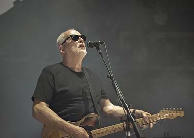 David Gilmour live
