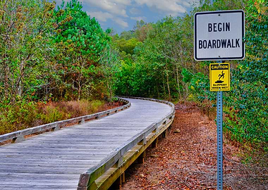 Begin Boardwalk