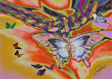 Butterflies on my chest