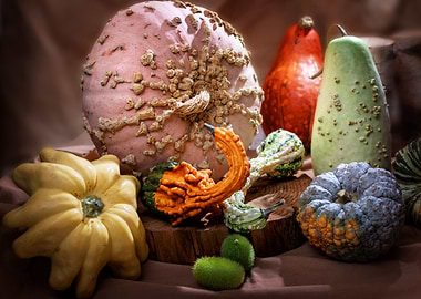 pumpkins stilllife