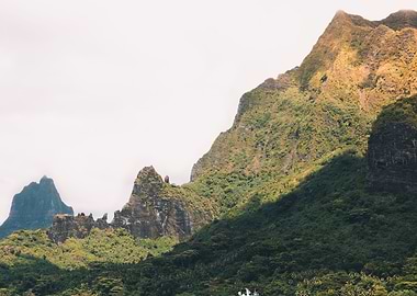 Sharp Peaks of Cook Bay